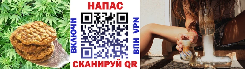 Еда ТГК марихуана  Купить где  Кувандык 