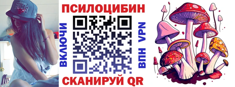 Галлюциногенные грибы мицелий  Купить закладки  Кувандык 